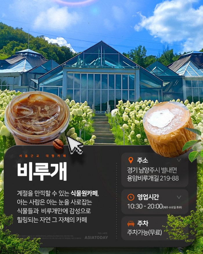 카드 뉴스 이미지