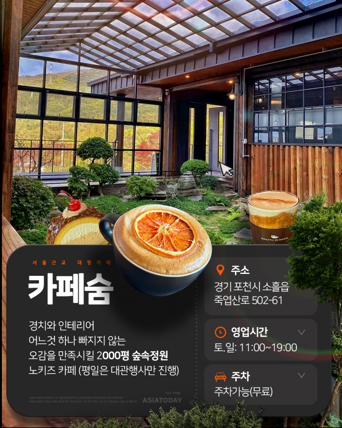 카드 뉴스 이미지