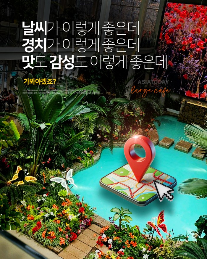 카드 뉴스 이미지