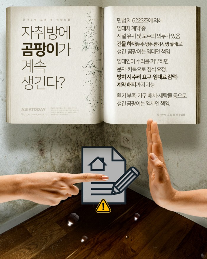 카드 뉴스 이미지