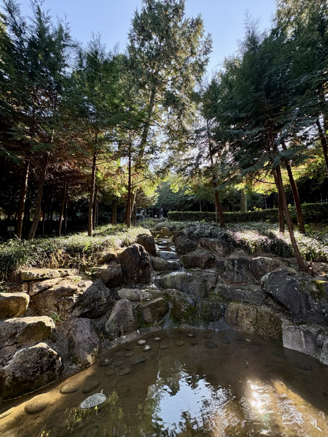 KakaoTalk_20260303_072006675