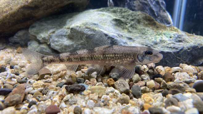 [7-1]여울마자_강동원