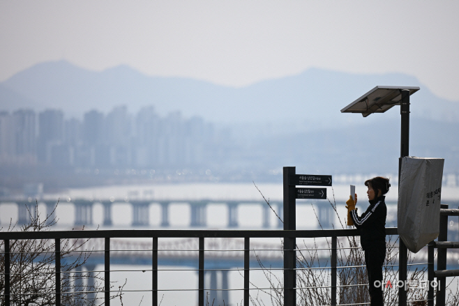 응봉산 개나리3