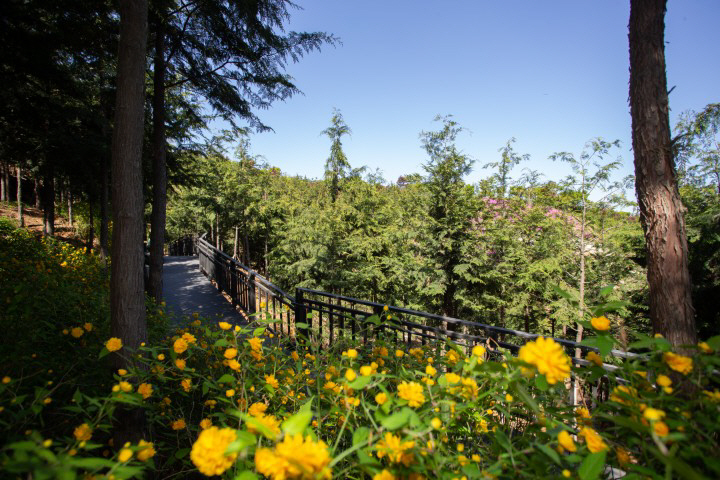 1-은평구, 봉산 무장애숲길 9.8km 조성…책쉼터·치유센터 연계 복합힐링공간 마련(1)