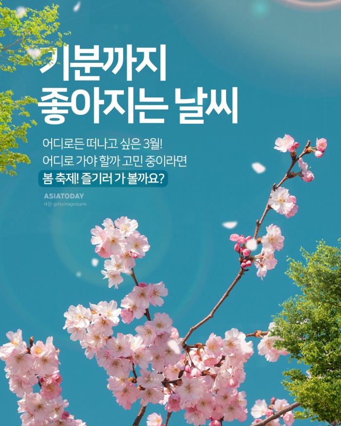 카드 뉴스 이미지