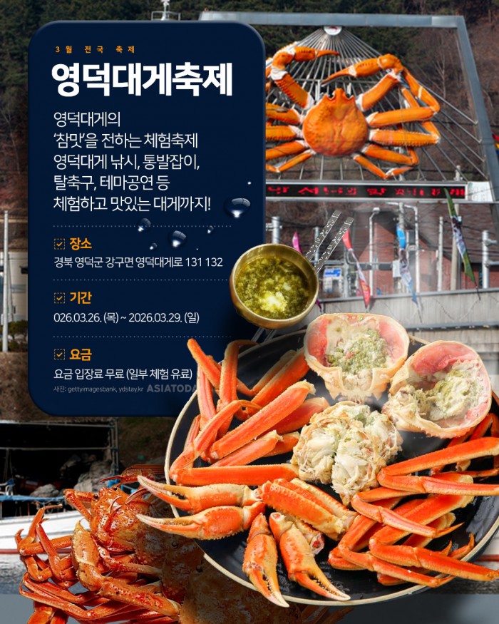 카드 뉴스 이미지