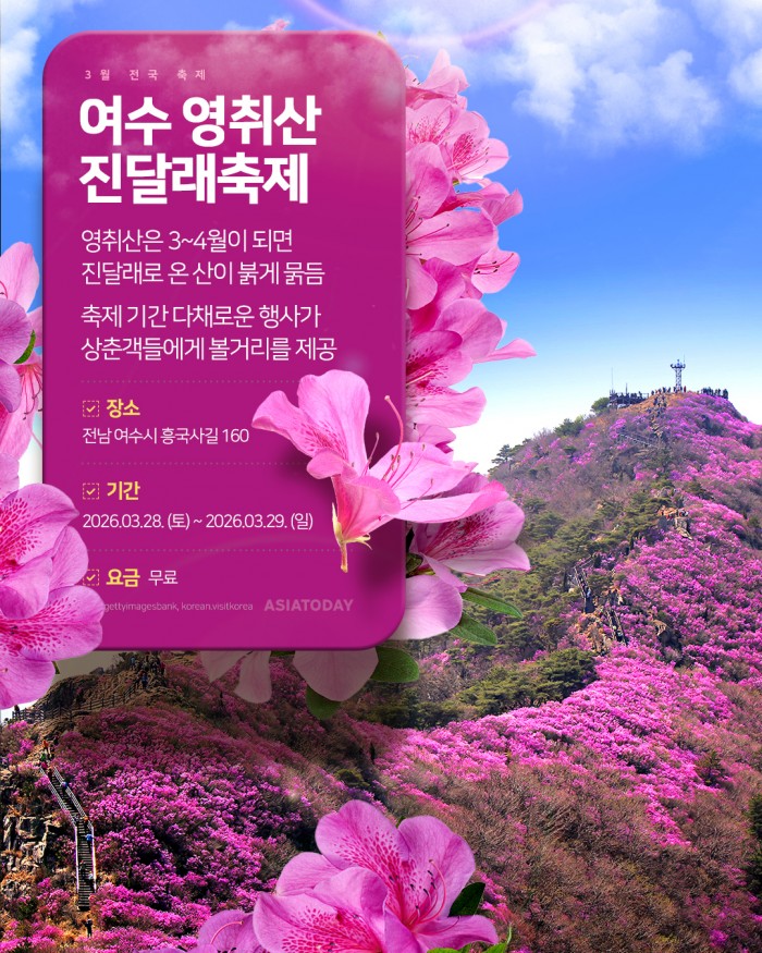 카드 뉴스 이미지