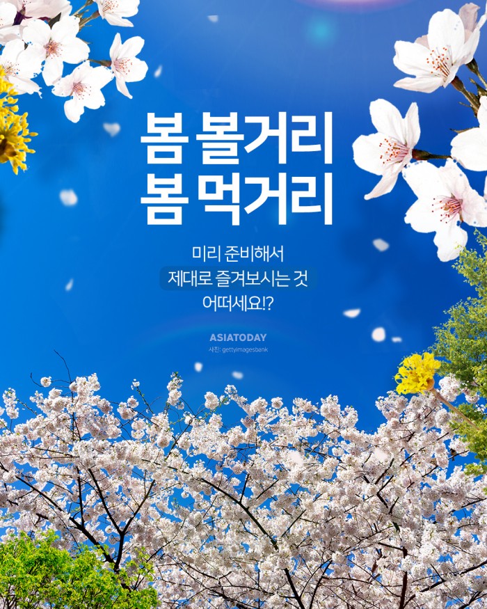 카드 뉴스 이미지