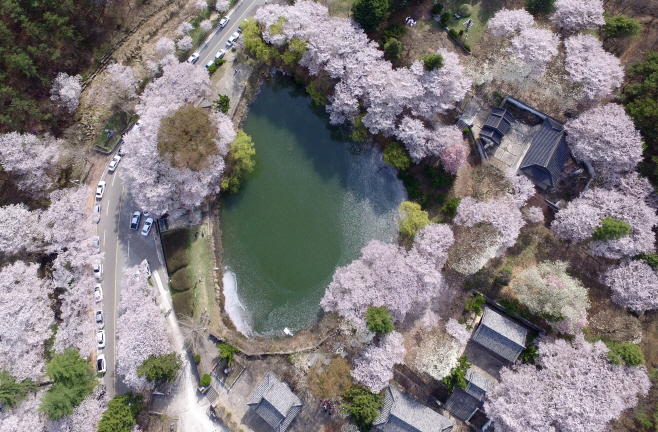 KakaoTalk_20260317_151921360_01