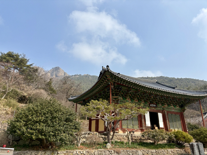 KakaoTalk_20260317_132300624