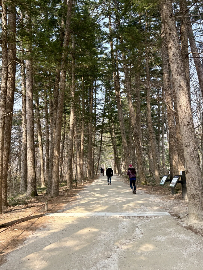 KakaoTalk_20260317_132545532