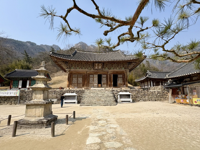 KakaoTalk_20260317_140005247