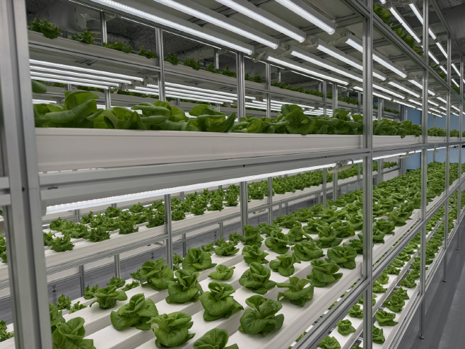 3. 대전시, 도심형 스마트팜 ‘대전팜’ 확대 추진 1