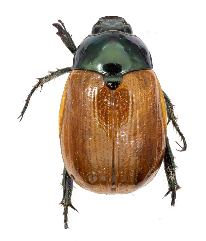 호남권생물자원관