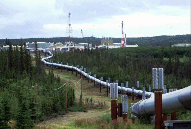 PAP20200514113301055_P4