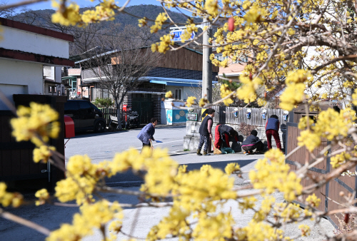 반가워 봄아, 봄맞이 대청소해요<YONHAP NO-5213>