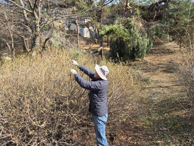 횡성월동난 예찰 및 방제1