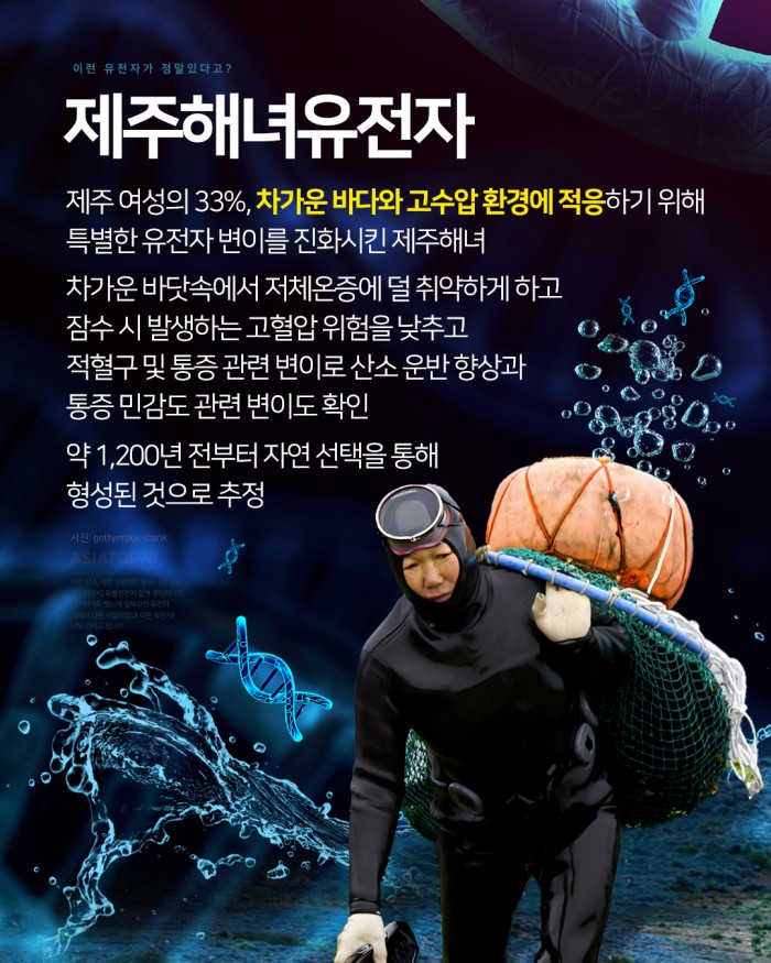 카드 뉴스 이미지