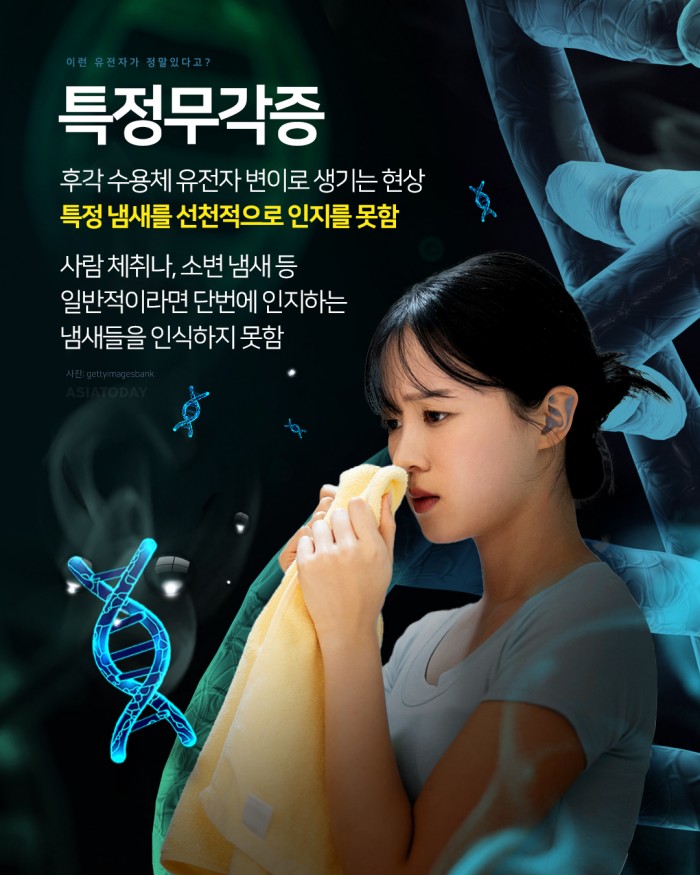 카드 뉴스 이미지