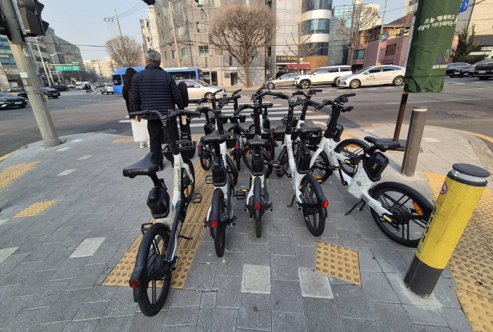 통행방해 전기자전거(3)