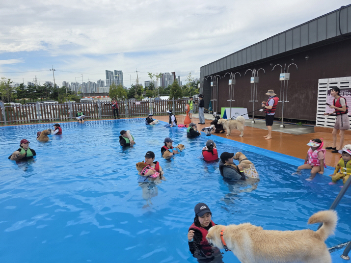 사진5_반려동물 수영 문화교실(멍푸멍푸) 현장
