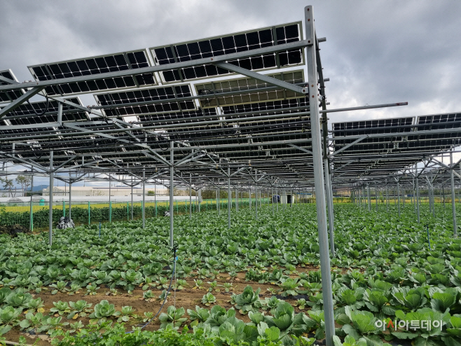 KakaoTalk_20260324_110945593