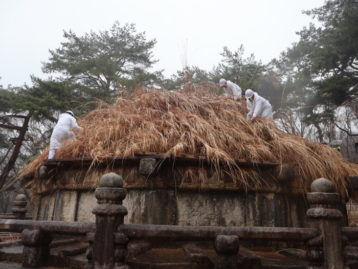 청완예초의 거행 모습(‘25.4.5.)