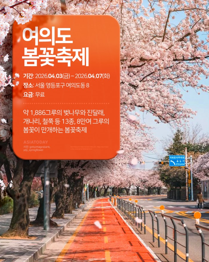 카드 뉴스 이미지