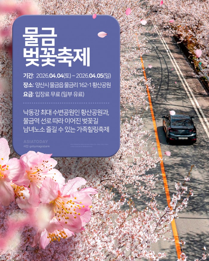 카드 뉴스 이미지