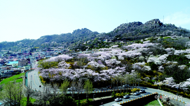 4월 유달산의 봄