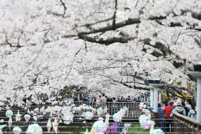 KakaoTalk_20260331_171127780_01