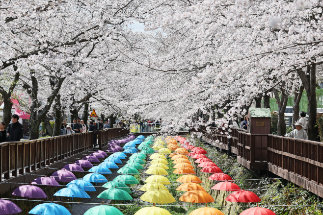 KakaoTalk_20260331_171127780_02