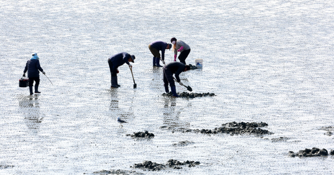 봄이 찾아온 갯벌<YONHAP NO-4082>
