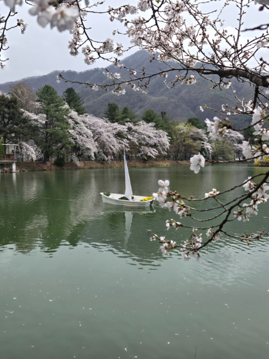 스크린샷 2026-04-03 120457