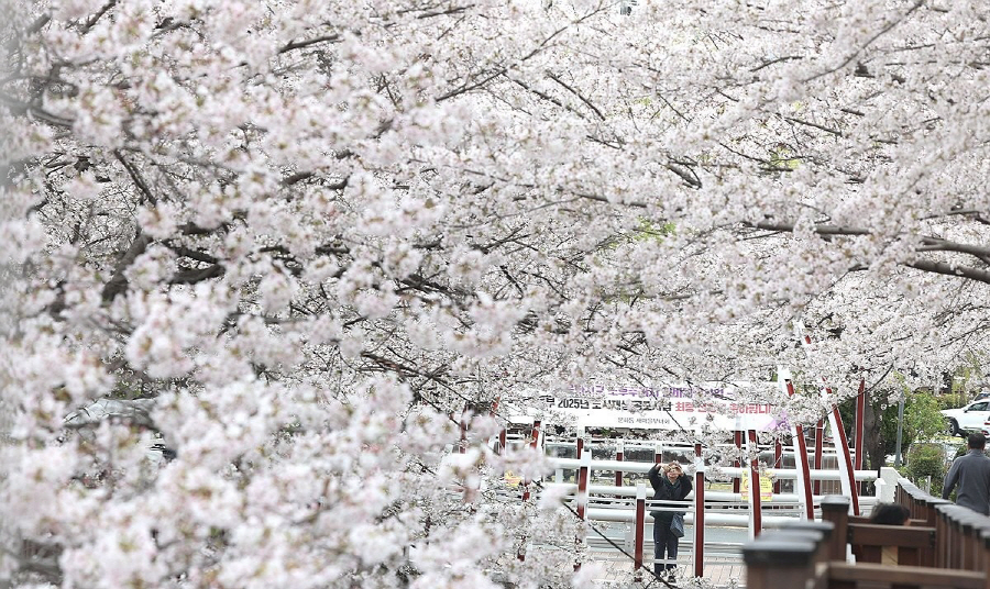 PYH2026033114570005200_P4