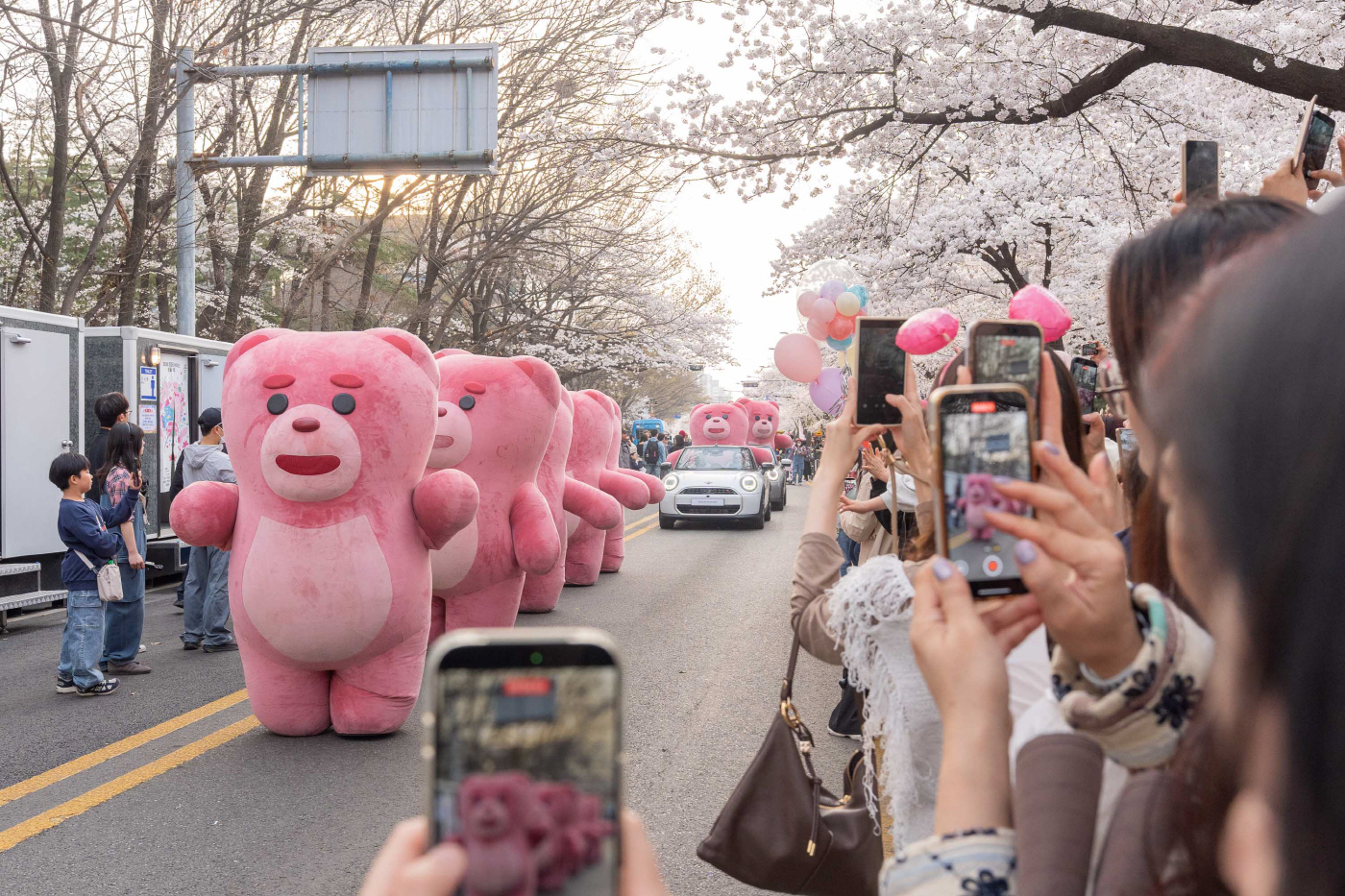 [보도사진2] 롯데홈쇼핑 벨리곰, 여의도 벚꽃길서 팬들과 만난다