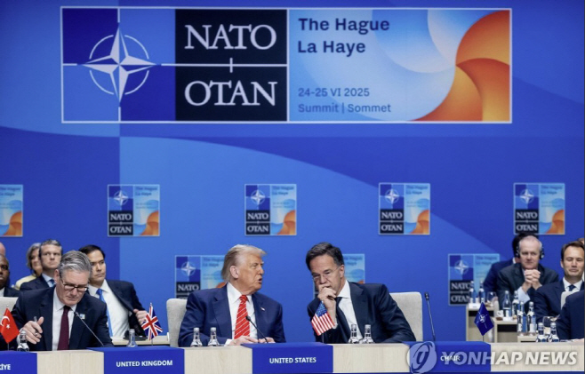 0406 NATO 정상회의