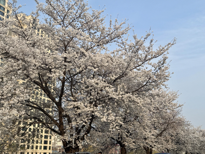 KakaoTalk_20260407_112433947