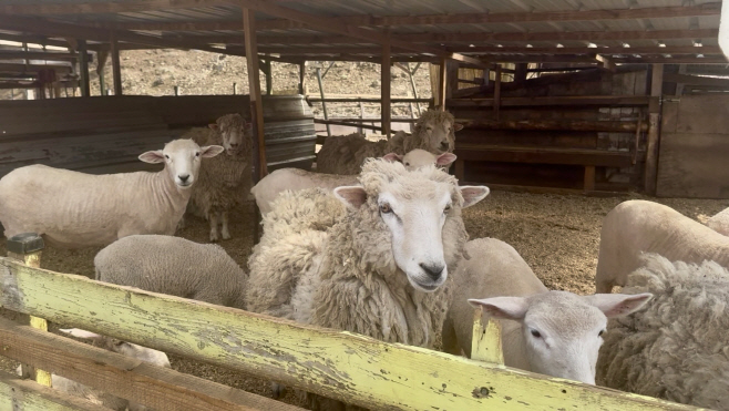 KakaoTalk_20260407_110754452