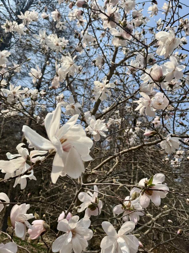 KakaoTalk_20260407_110120823