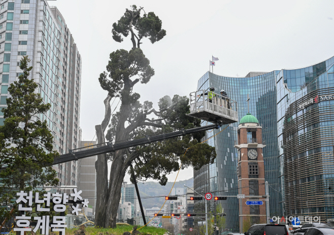 서초구, 아·태 사법정의 허브 상징 ‘천년향’ 봄맞이 세척7