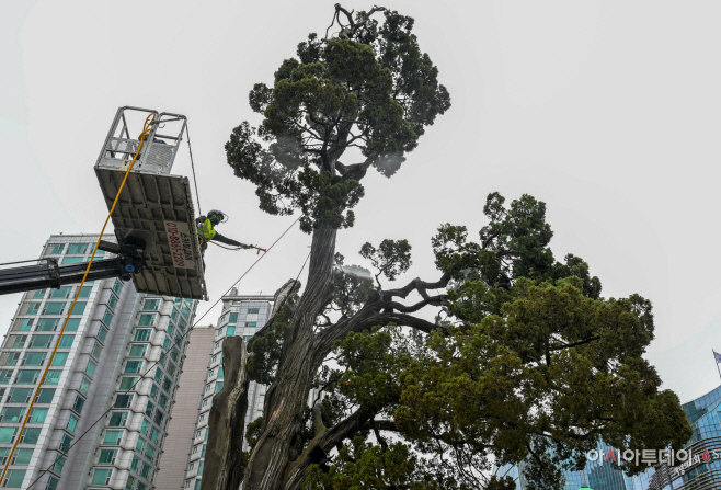 서초구, 아·태 사법정의 허브 상징 ‘천년향’ 봄맞이 세척