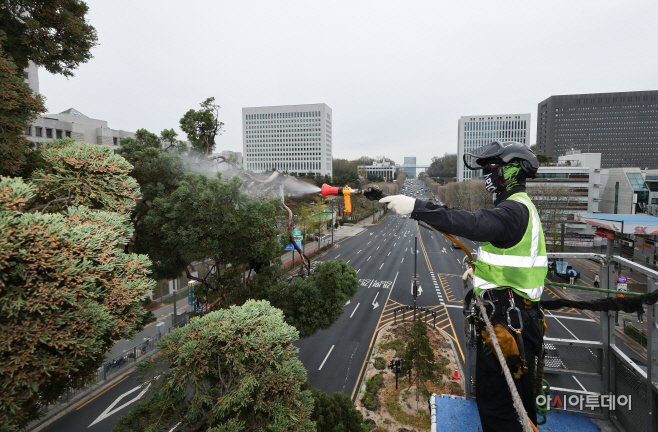 겨우내 쌓인 미세먼지 씻어내는 천년향