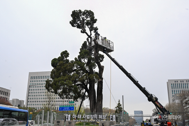 서초구, 아·태 사법정의 허브 상징 ‘천년향’ 봄맞이 세척2