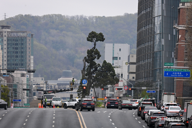 서초구, 아·태 사법정의 허브 상징 ‘천년향’ 봄맞이 세척13