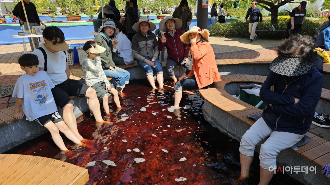 보성다향대축제