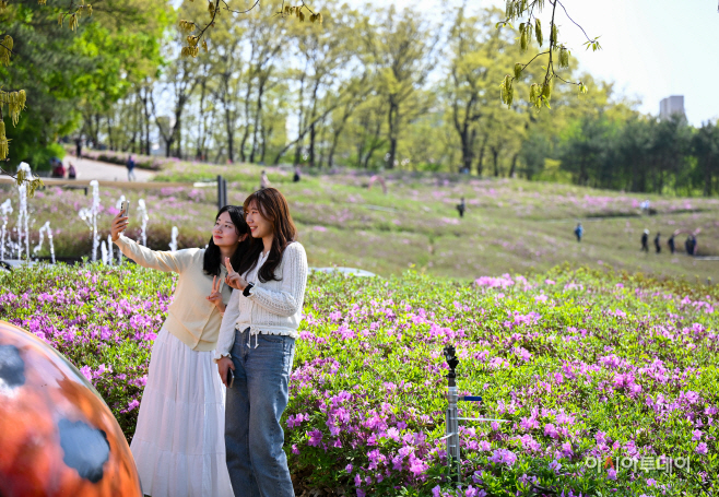 2026 불암산 철쭉제1