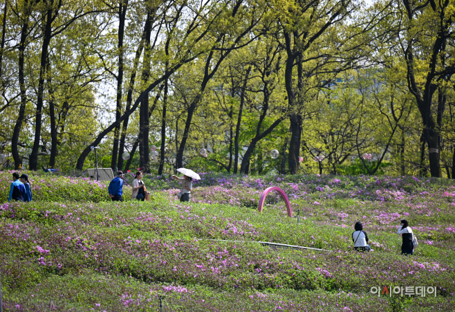 2026 불암산 철쭉제