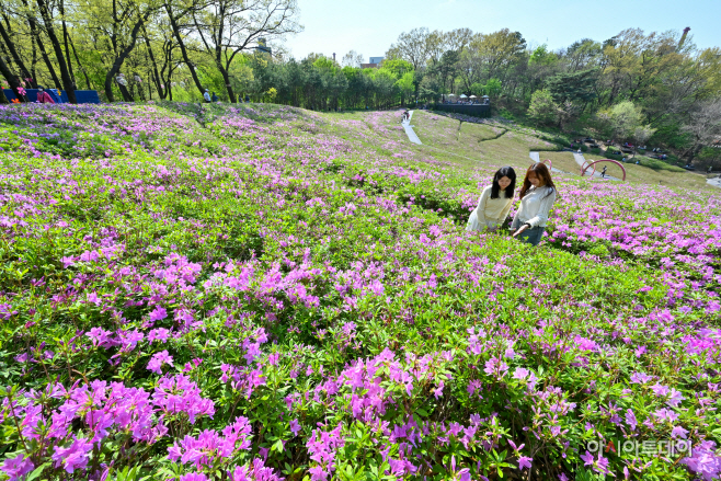 2026 불암산 철쭉제