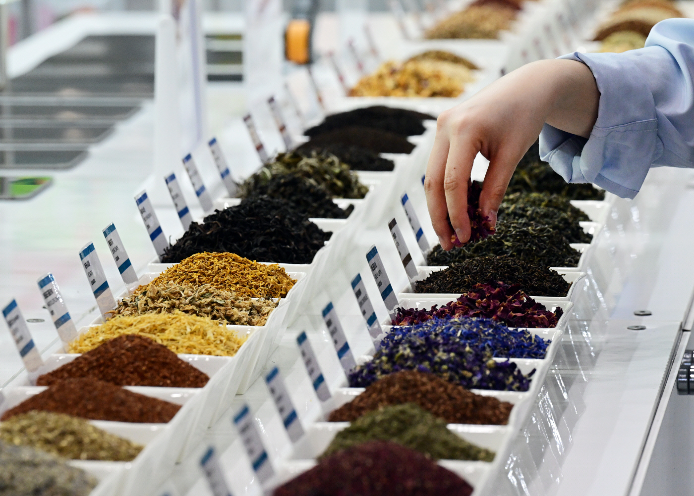 2026 서울커피엑스포-7873